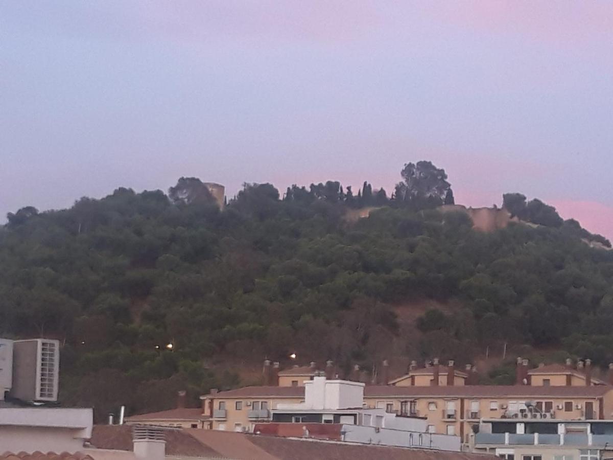 Apartamentos Marques De La Merced Málaga Eksteriør bilde